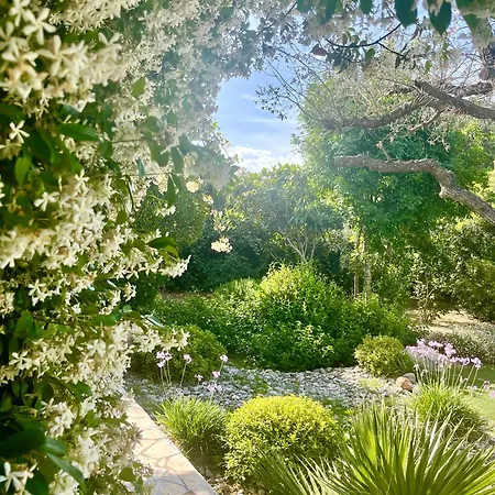 Villa Cosi Porto-Vecchio (Corsica)